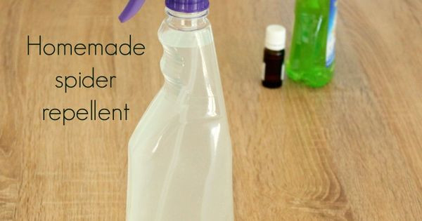 Best ideas about DIY Spider Repellent
. Save or Pin Homemade Natural Spider Repellent Recipe Now.