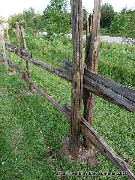 Best ideas about DIY Split Rail Fence
. Save or Pin How to Build Cedar Fence Step by step DIY Building Plan Now.