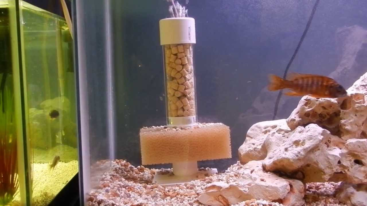 Best ideas about DIY Sponge Filter
. Save or Pin Home Made DIY Sponge Filter For Aquarium or Fish tank Now.