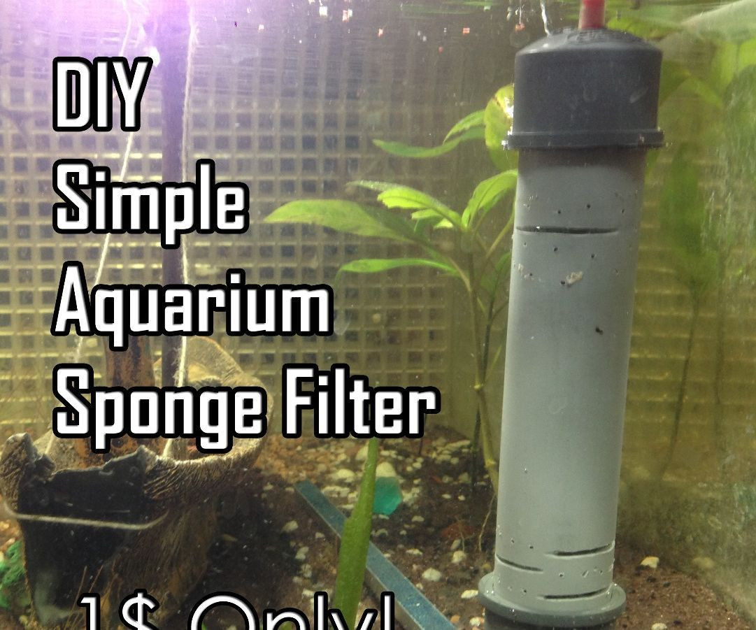Best ideas about DIY Sponge Filter
. Save or Pin DIY Simple PVC Sponge Filter for Aquariums 7 Now.