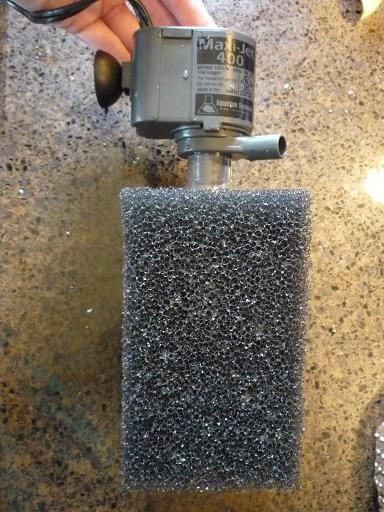 Best ideas about DIY Sponge Filter
. Save or Pin DIY and crafts and Diy sponges on Pinterest Now.