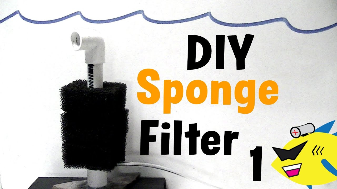Best ideas about DIY Sponge Filter
. Save or Pin DIY Sponge Filter Cheap Aquarium Filter Build Now.