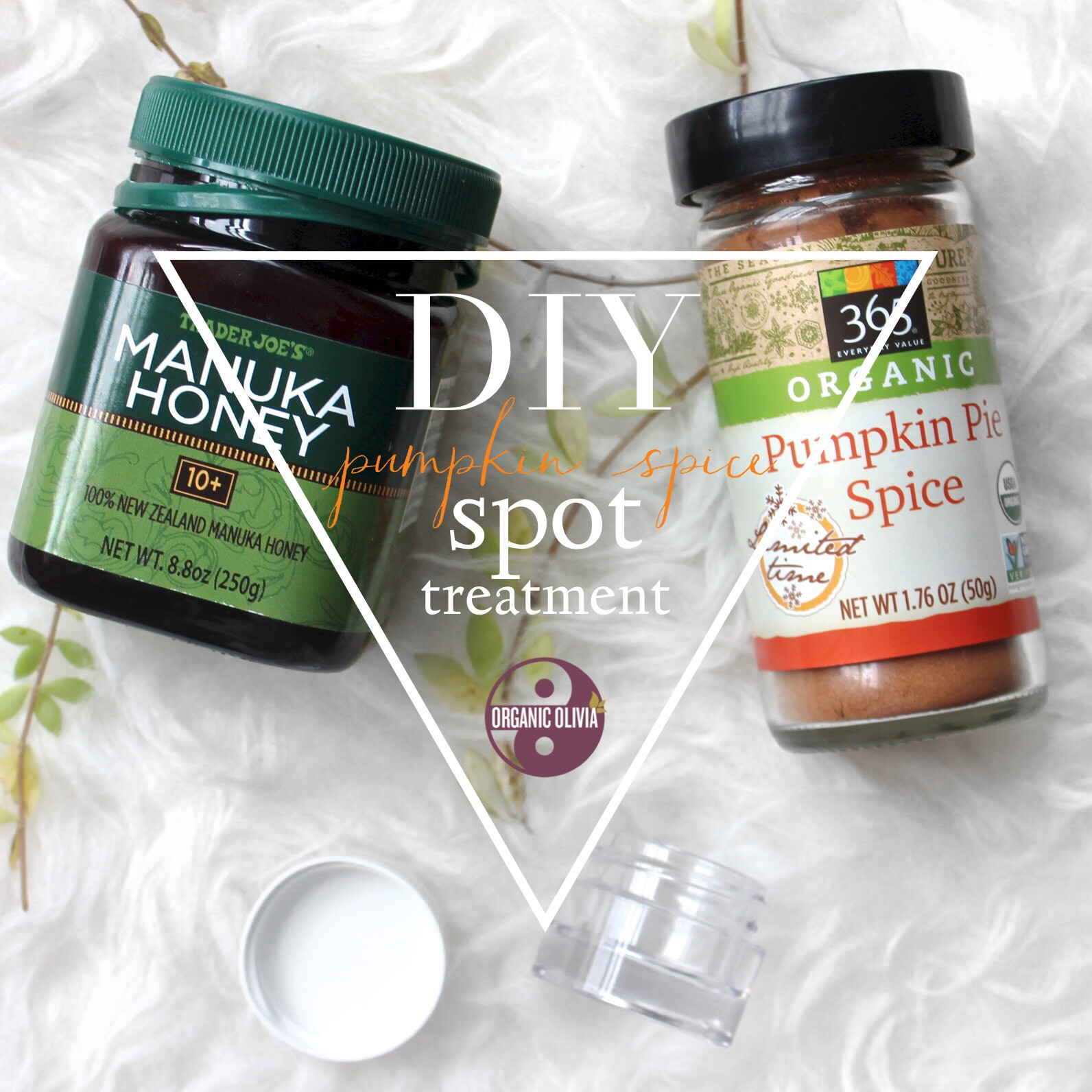 Best ideas about DIY Spot Treatment
. Save or Pin DIY Pumpkin Spice Blemish Spot Treatment great for acne Now.