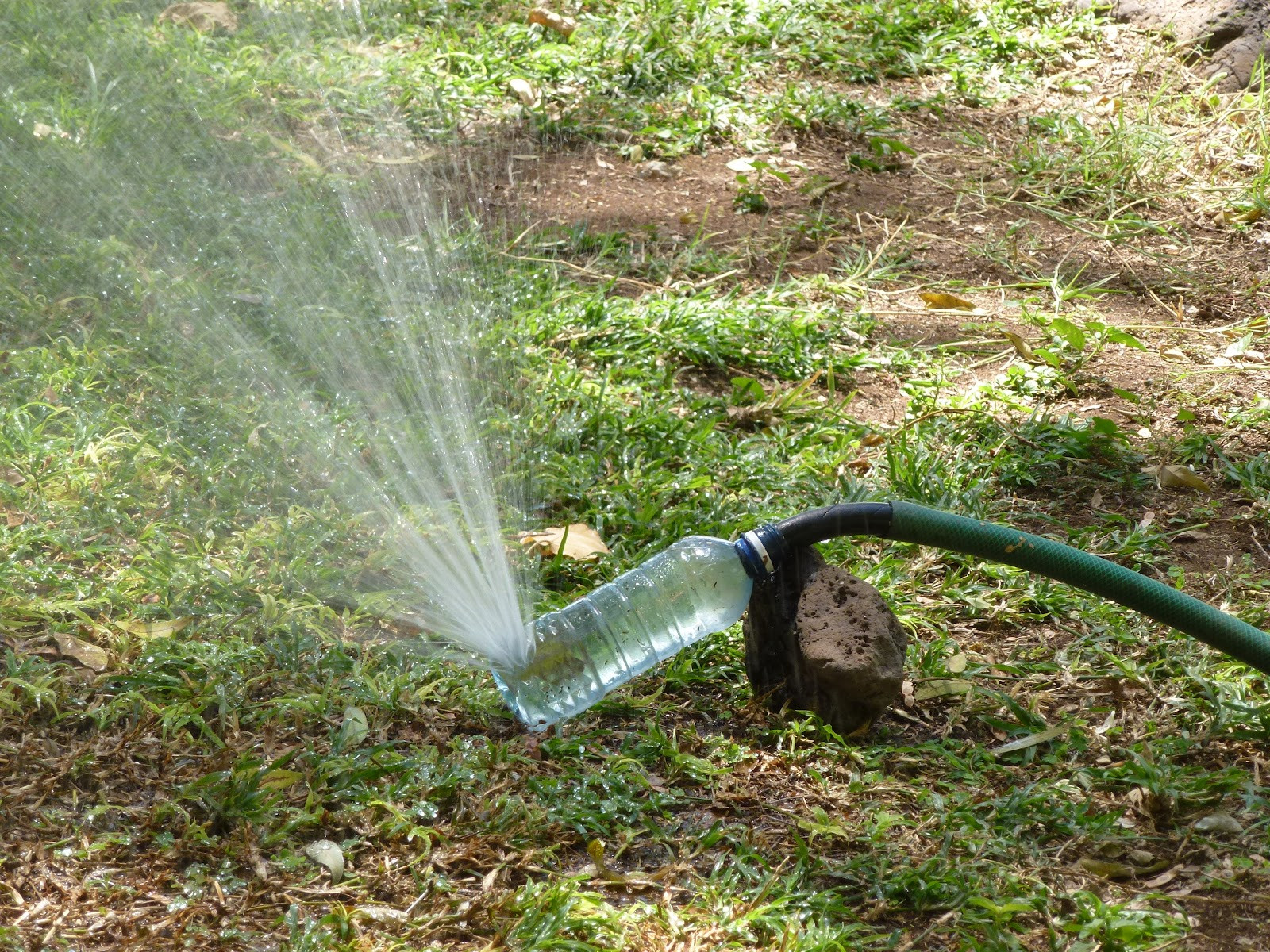 Best ideas about DIY Sprinkler System
. Save or Pin BlogJunktion LEAP DAY Now.