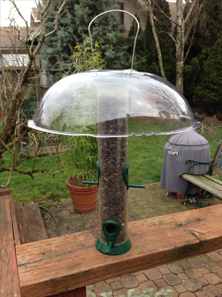 Best ideas about DIY Squirrel Baffle
. Save or Pin Squirrel Baffles Bird Feeders Homemade WoodWorking Now.