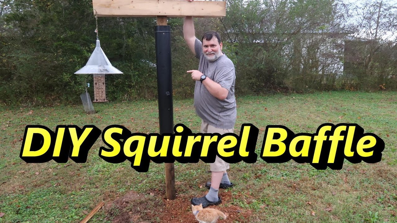 Best ideas about DIY Squirrel Baffle
. Save or Pin DIY Squirrel baffle Bird Feeding Station with cute Now.