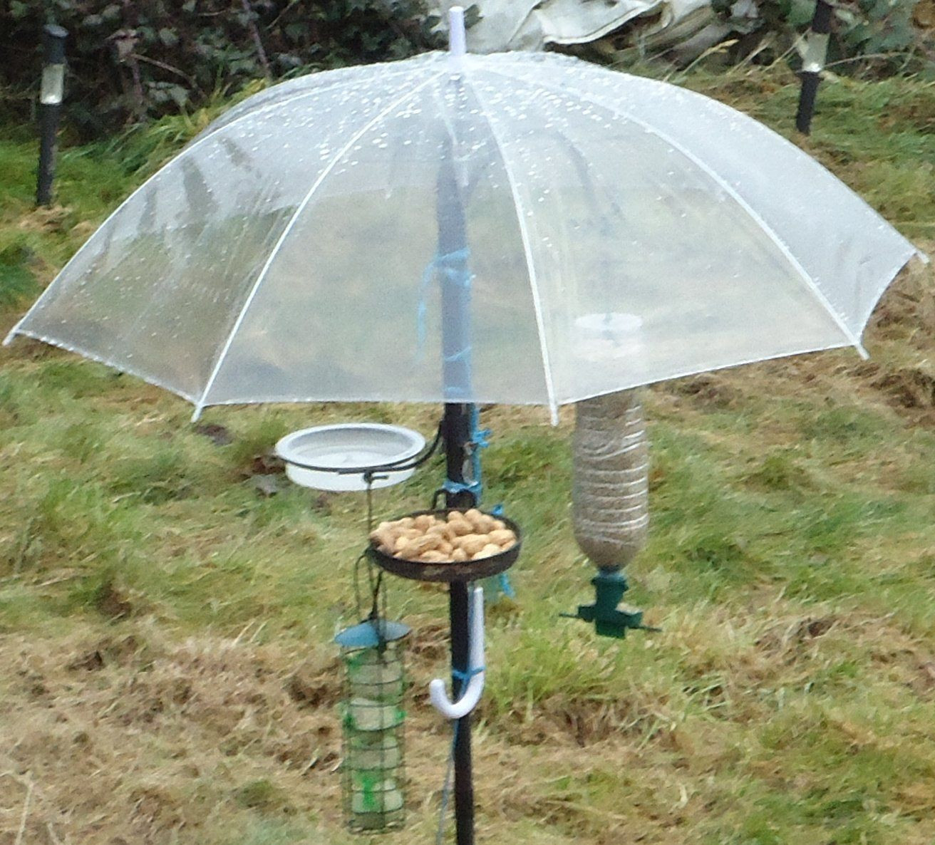 Best ideas about DIY Squirrel Baffle
. Save or Pin Here s a nice DIY baffle or rain guard Now.