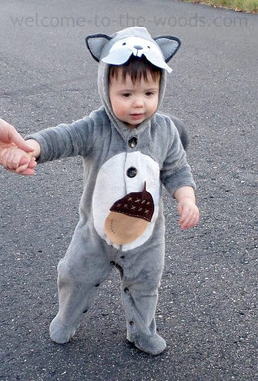 Best ideas about DIY Squirrel Costume
. Save or Pin DIY Punny Halloween Costumes Wel e to the Woods Now.