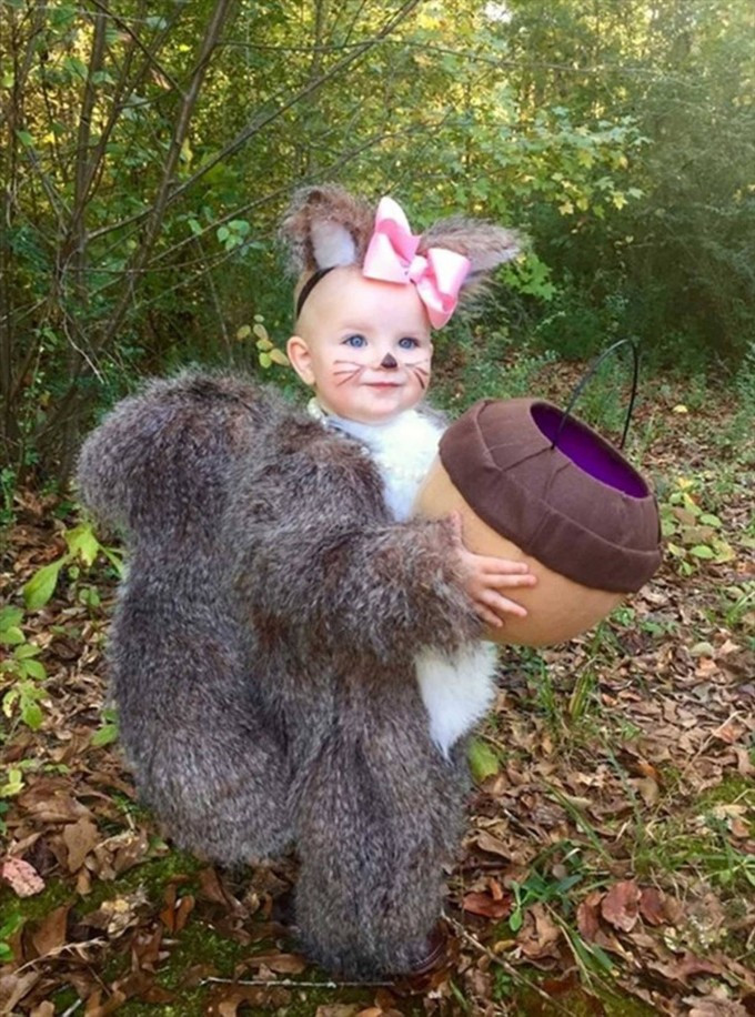 Best ideas about DIY Squirrel Costume
. Save or Pin Over 40 of the BEST Homemade Halloween Costumes for Babies Now.