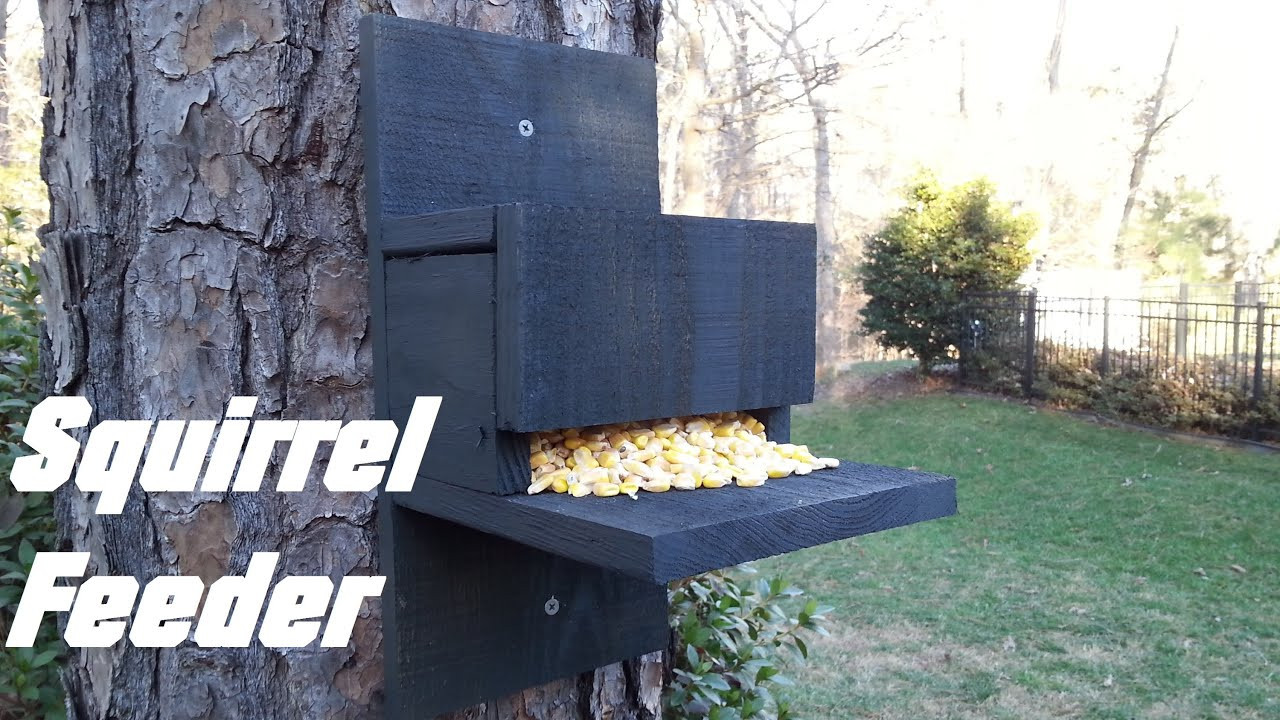 Best ideas about DIY Squirrel Feeder
. Save or Pin Homemade Squirrel Feeder Now.