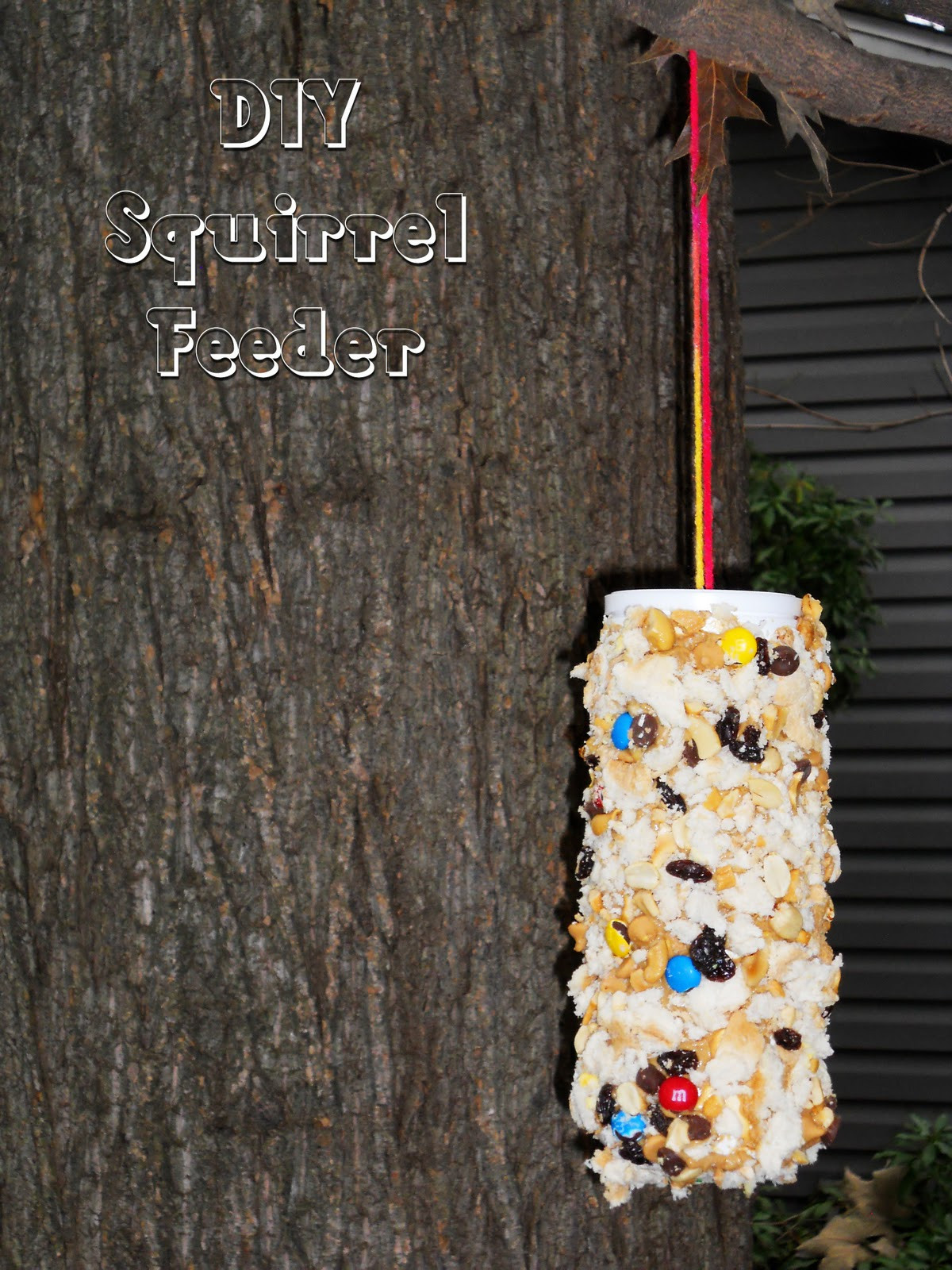 Best ideas about DIY Squirrel Feeder
. Save or Pin The Peanut Gallery DIY Squirrel Feeder Now.