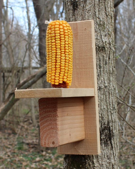 Best ideas about DIY Squirrel Feeder
. Save or Pin 25 unique Squirrel feeder ideas on Pinterest Now.