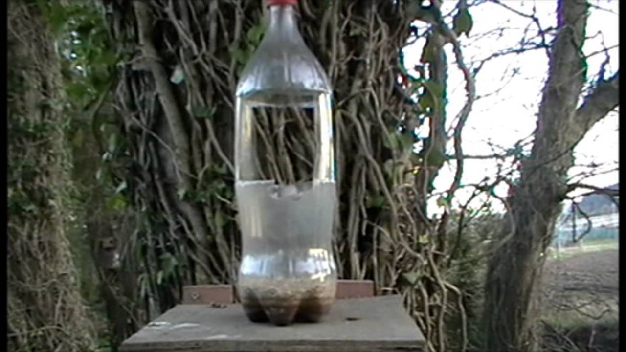 Best ideas about DIY Squirrel Feeder
. Save or Pin Squirrel Hunting DIY Squirrel feeder for shooting Now.