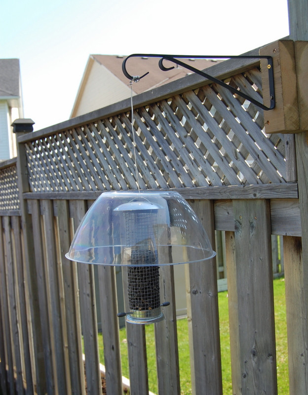 Best ideas about DIY Squirrel Proof Bird Feeder
. Save or Pin The Battle of the Backyard Me vs the Squirrels northstory Now.