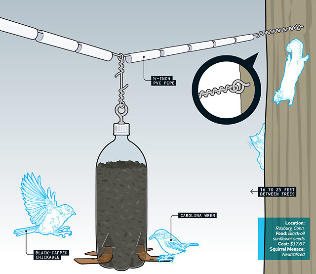 Best ideas about DIY Squirrel Proof Bird Feeder
. Save or Pin How to Build a Squirrel Proof Bird Feeder Now.