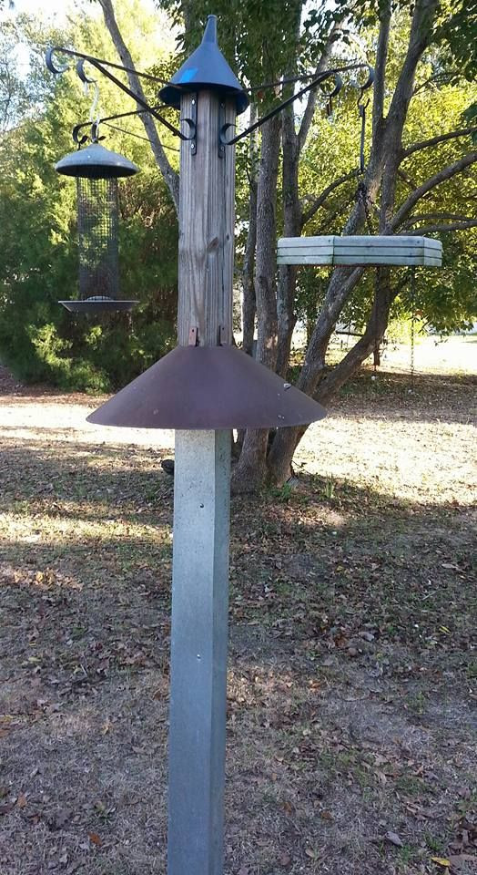 Best ideas about DIY Squirrel Proof Bird Feeder
. Save or Pin 25 best ideas about Squirrel Proof Bird Feeders on Now.
