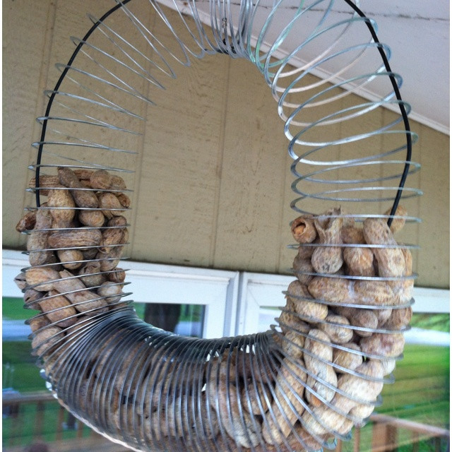 Best ideas about DIY Squirrel Proof Bird Feeder Slinky
. Save or Pin Homemade slinky squirrel feeder Now.