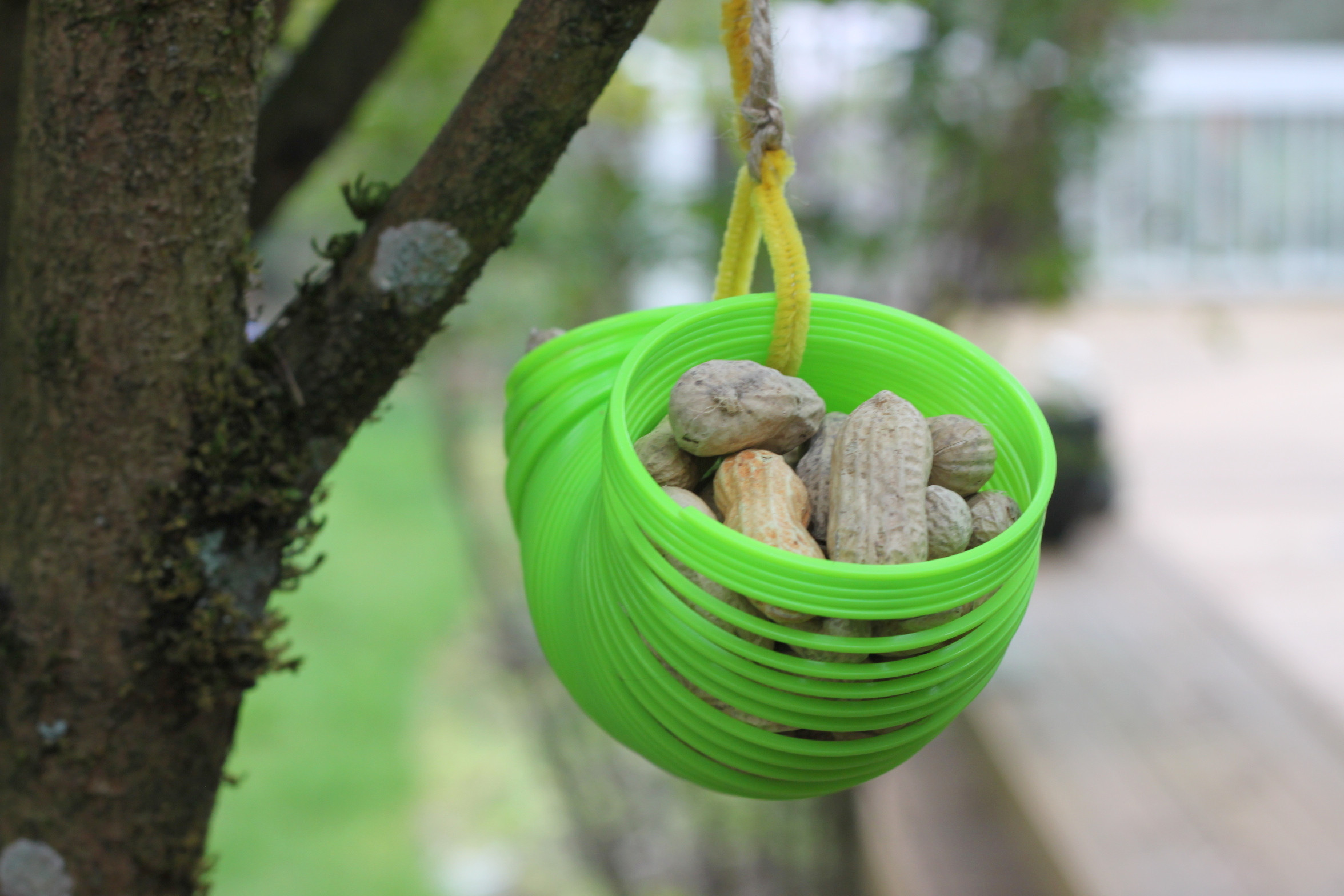 Best ideas about DIY Squirrel Proof Bird Feeder Slinky
. Save or Pin 12 DIY Squirrel Feeders For Your Backyard – The Self Now.