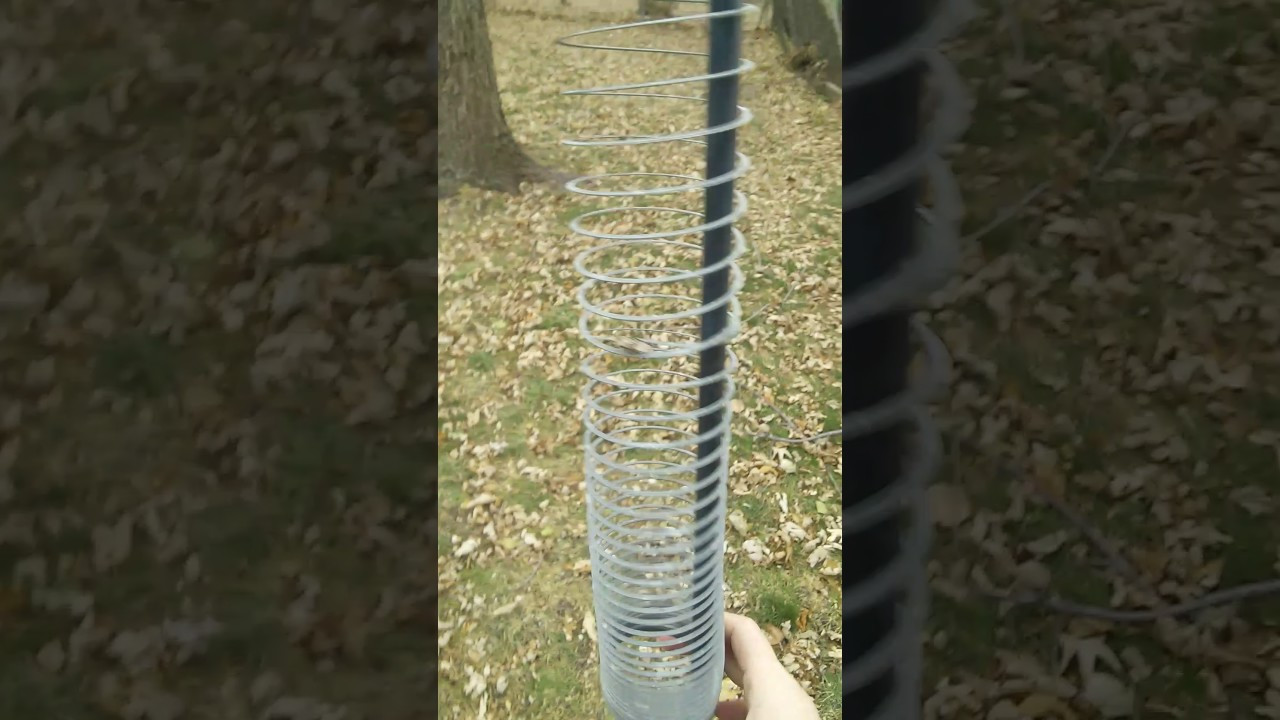 Best ideas about DIY Squirrel Proof Bird Feeder Slinky
. Save or Pin Slinky squirrel deterrent How To Protect Bird feeders Now.