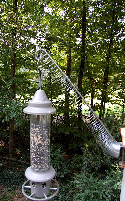 Best ideas about DIY Squirrel Proof Bird Feeder Slinky
. Save or Pin How to Keep a Squirrel from Eating All the Bird Seed from Now.