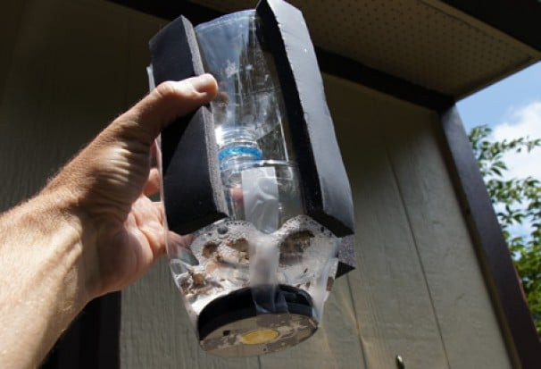 Best ideas about DIY Stink Bug Trap
. Save or Pin Traps for fighting the inevitable stink bug invasion Now.