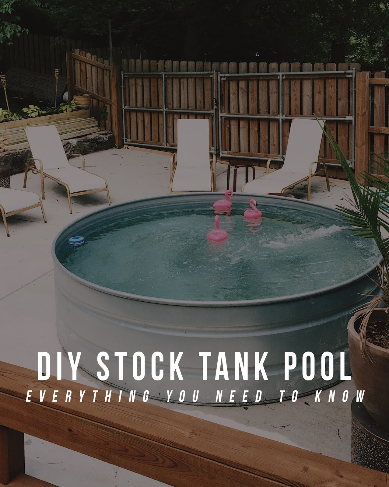 Best ideas about DIY Stock Tank Pool
. Save or Pin DIY Stock Tank Pool Everything you need to know Now.