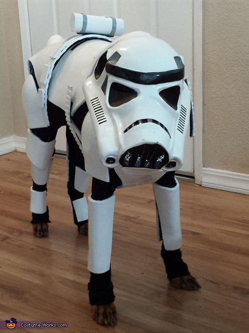 Best ideas about DIY Stormtrooper Costume
. Save or Pin Stormtrooper Dog Costume Now.