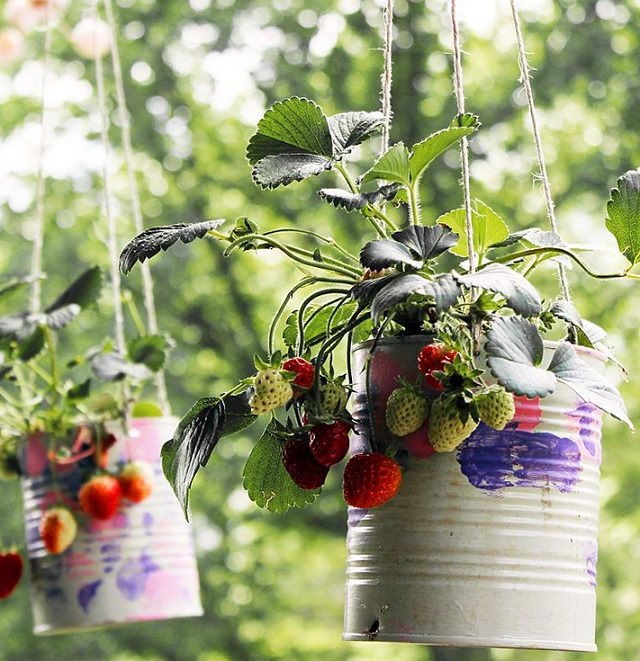 Best ideas about DIY Strawberry Planter
. Save or Pin 9 Unbeatable DIY Ideas for Growing Strawberries in a Now.