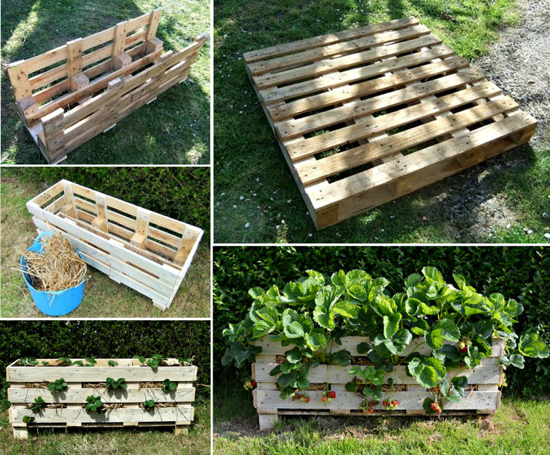 Best ideas about DIY Strawberry Planter
. Save or Pin Wonderful DIY Vertical Pallet Garden Now.