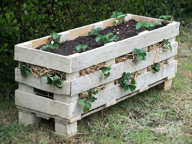 Best ideas about DIY Strawberry Planter
. Save or Pin How to Make a Better Strawberry Pallet Planter Now.