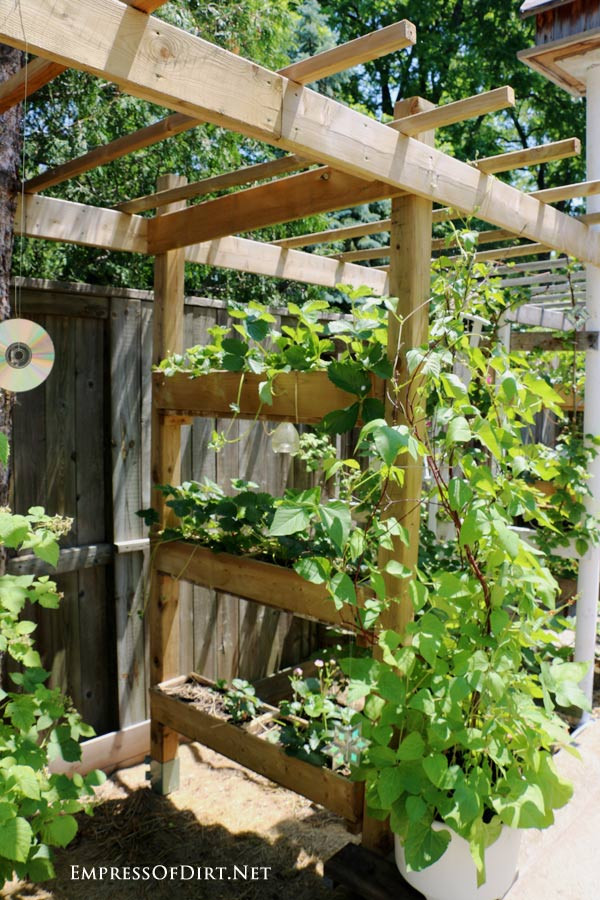 Best ideas about DIY Strawberry Planter
. Save or Pin 20 Arbor Trellis & Obelisk Ideas for Home Gardens Now.