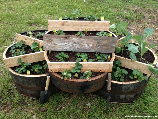 Best ideas about DIY Strawberry Planter
. Save or Pin Best 25 Strawberry planters ideas on Pinterest Now.