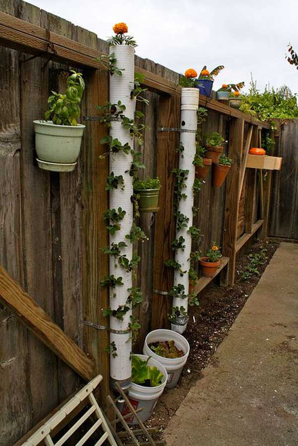 Best ideas about DIY Strawberry Tower
. Save or Pin Top 20 Low Cost DIY Gardening Projects Made With PVC Pipes Now.