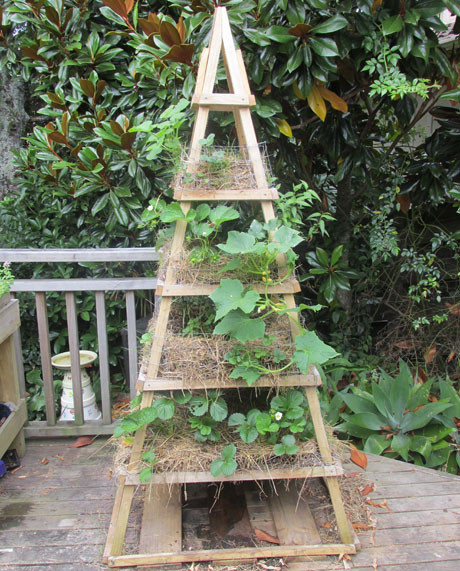 Best ideas about DIY Strawberry Tower
. Save or Pin DIY – Flaming Petal Blog Now.