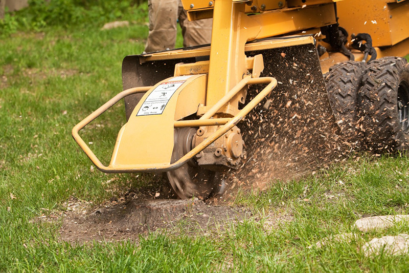 Best ideas about DIY Stump Grinder
. Save or Pin Dangers of DIY Stump Removal Now.