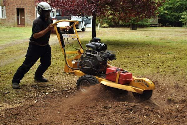 Best ideas about DIY Stump Grinder
. Save or Pin Gardening & Landscaping Removaling Tree Stump With Stump Now.