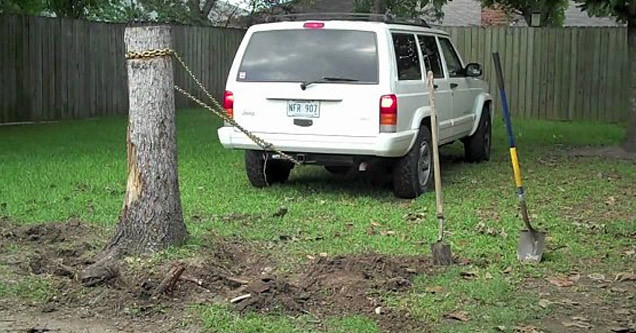 Best ideas about DIY Stump Removal
. Save or Pin Do It Yourself Stump Removal Isn t Always A Good Idea Now.