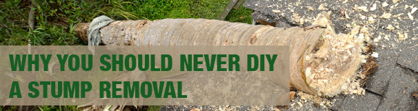 Best ideas about DIY Stump Removal
. Save or Pin Why You Should Never DIY a Stump Removal Brisbane wide B Now.