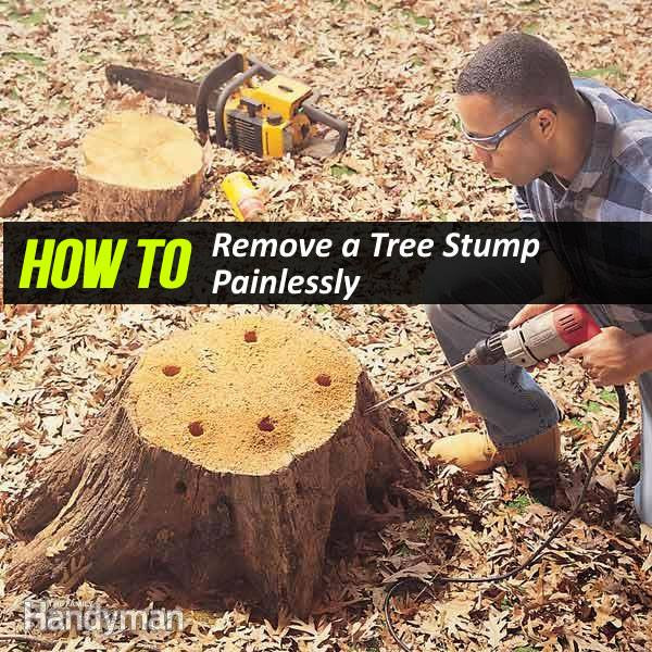 Best ideas about DIY Stump Removal
. Save or Pin How to Remove a Tree Stump Yourself Painlessly DIY Tutorials Now.