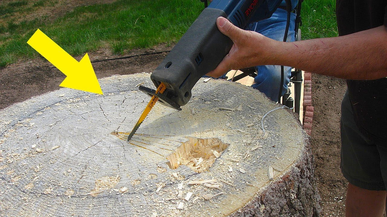 Best ideas about DIY Stump Removal
. Save or Pin DIY Tree Stump Planters That Are So Simple To Make They Now.