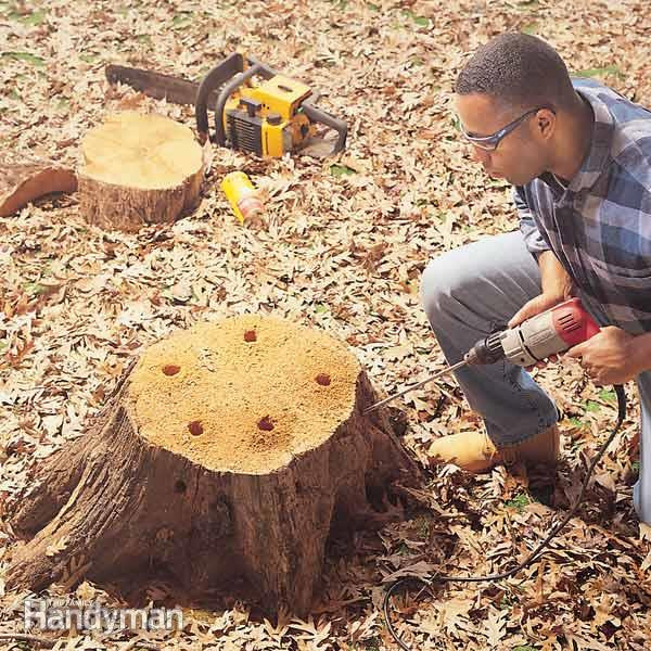 Best ideas about DIY Stump Removal
. Save or Pin How to Remove a Tree Stump Painlessly Now.