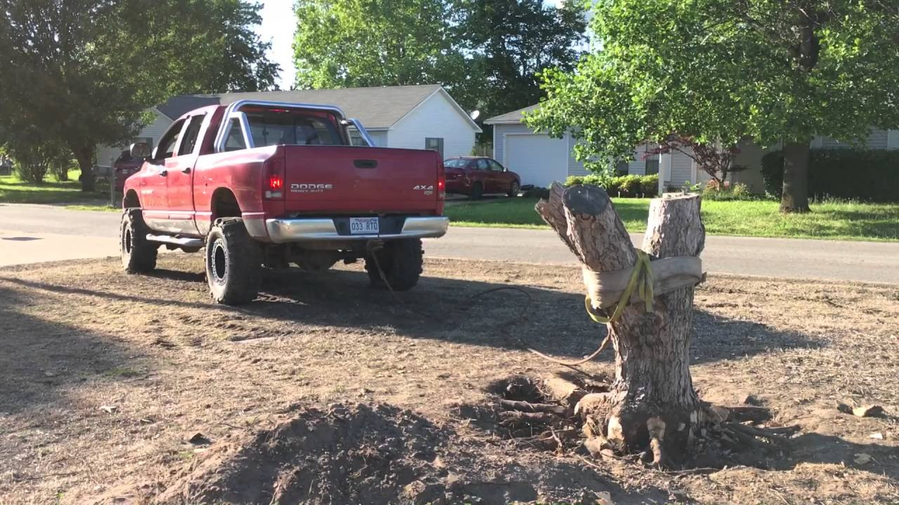 Best ideas about DIY Stump Removal
. Save or Pin DIY Tree Stump Removal With A Truck Now.