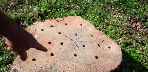 Best ideas about DIY Stump Removal
. Save or Pin Here s the easiest cheapest way to remove a tree stump on Now.