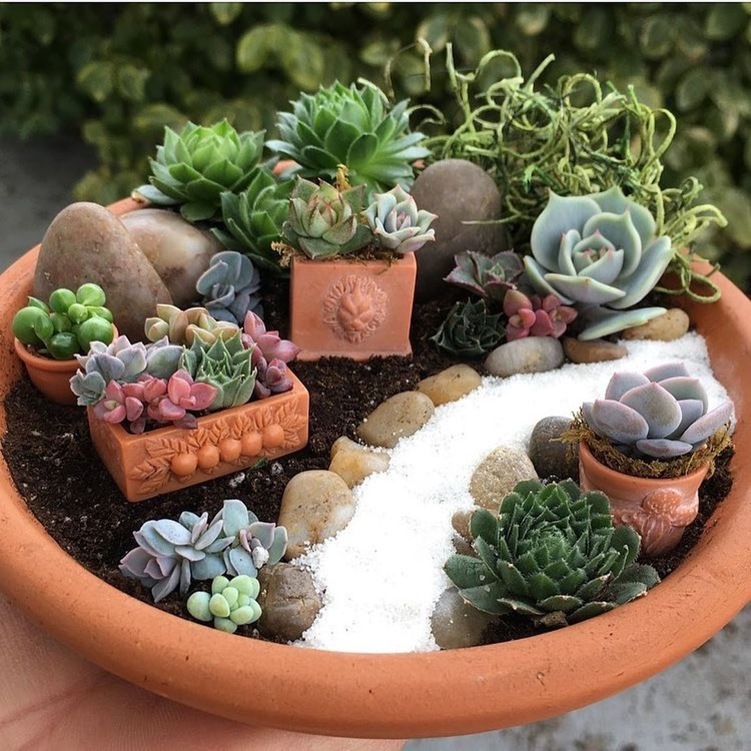 Best ideas about DIY Succulent Gardens
. Save or Pin 45 Magical DIY Succulent Fairy Garden Ideas De agz Now.