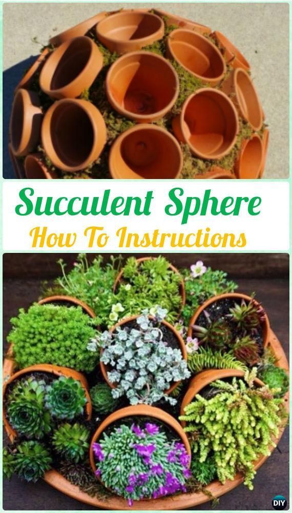 Best ideas about DIY Succulent Gardens
. Save or Pin DIY Indoor Outdoor Succulent Garden Ideas Instructions Now.