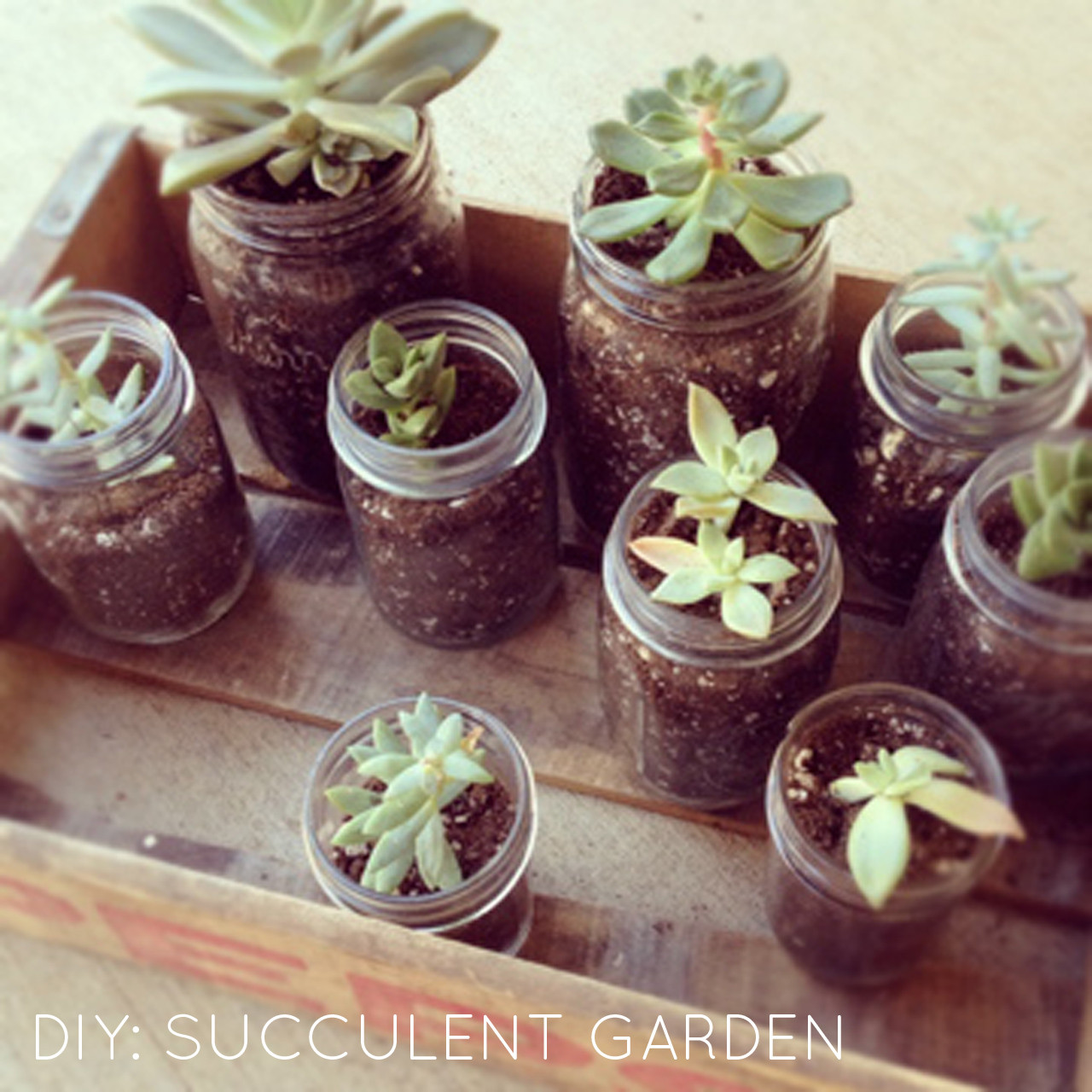 Best ideas about DIY Succulent Gardens
. Save or Pin DIY Now.