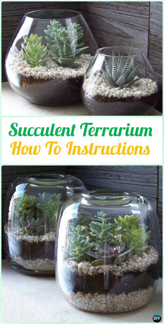 Best ideas about DIY Succulent Gardens
. Save or Pin DIY Indoor Outdoor Succulent Garden Ideas • VeryHom Now.