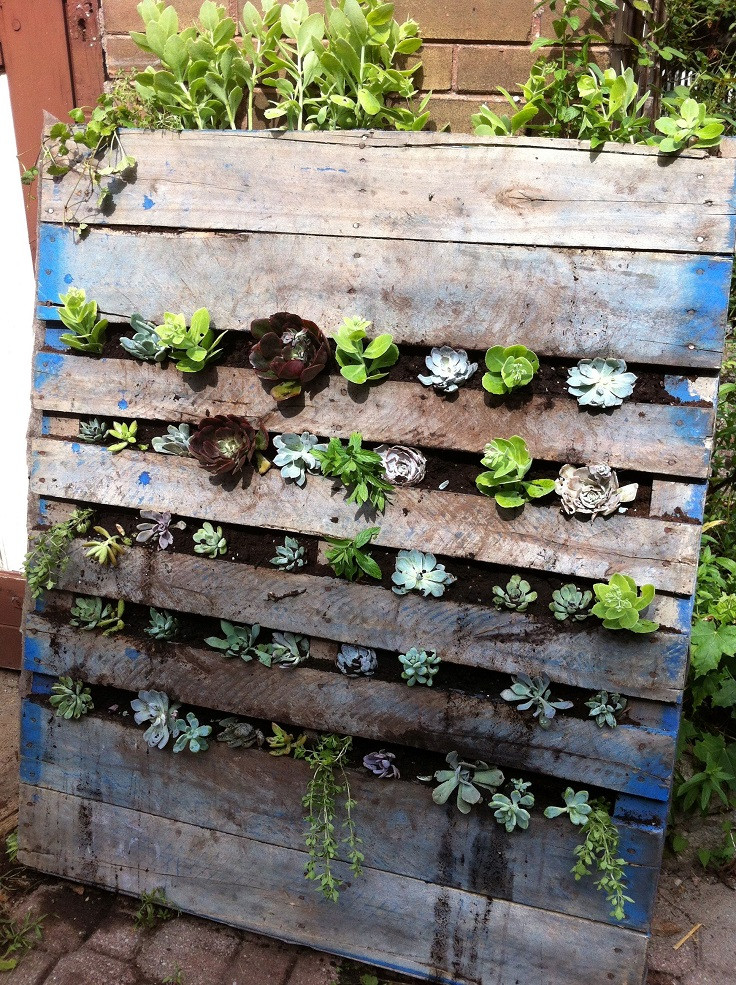 Best ideas about DIY Succulent Gardens
. Save or Pin Top 10 DIY Vertical Garden Ideas to Try This Spring Top Now.
