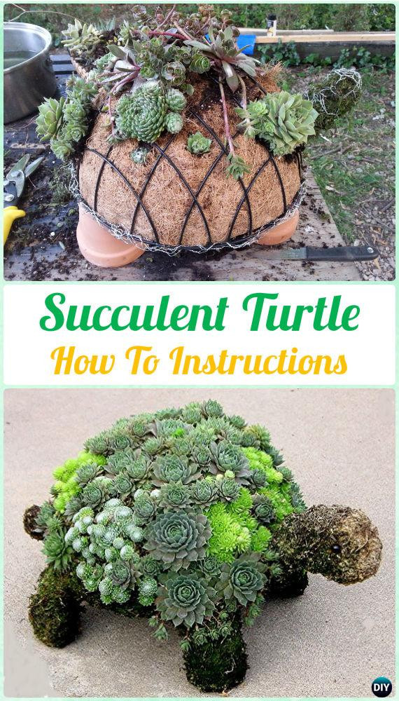 Best ideas about DIY Succulent Gardens
. Save or Pin DIY Indoor Outdoor Succulent Garden Ideas Projects Now.