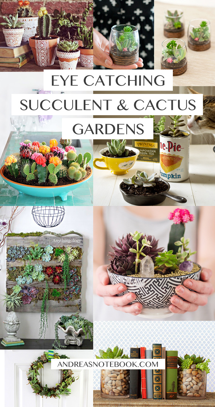 Best ideas about DIY Succulent Gardens
. Save or Pin Eye Catching DIY Succulent and Cactus Gardens Now.